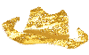 sparkly cowboy hat